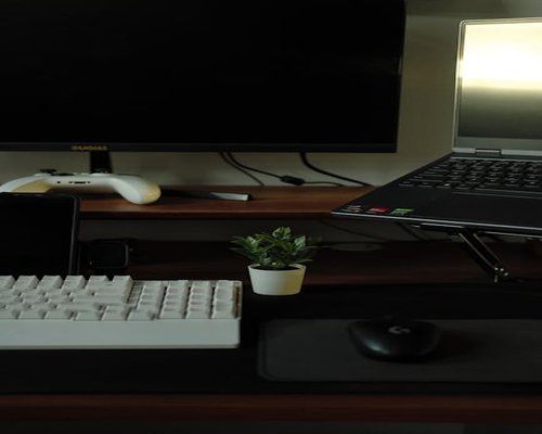 Ergonomic desk setup with laptop and plant